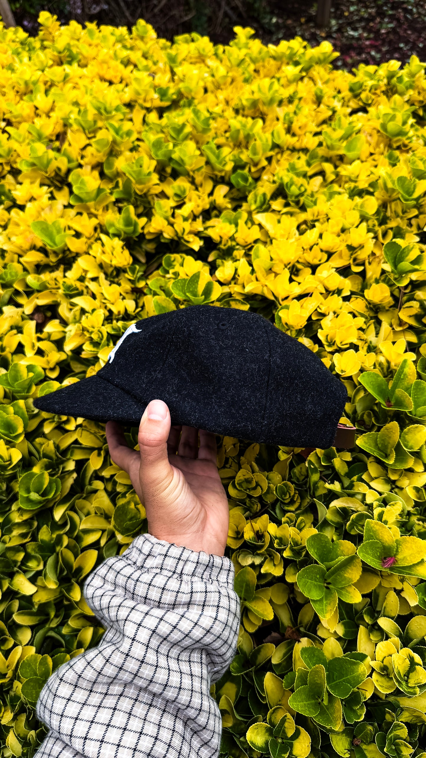 "Founders" Cap