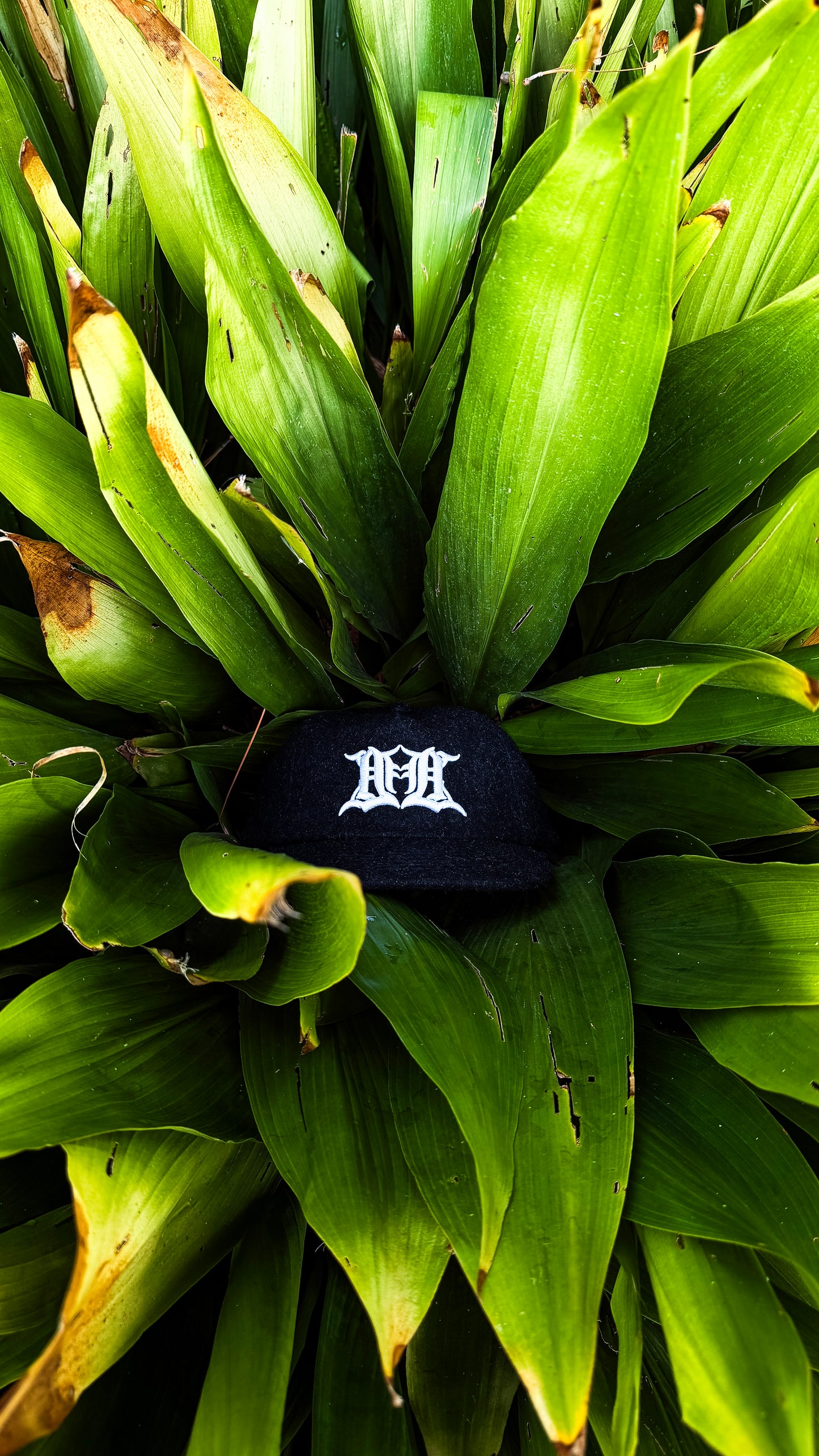 "Founders" Cap